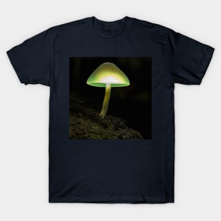 Illuminating Mushroom T-Shirt